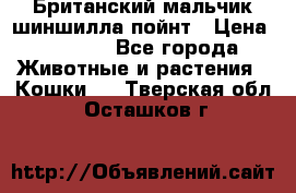 Британский мальчик шиншилла-пойнт › Цена ­ 5 000 - Все города Животные и растения » Кошки   . Тверская обл.,Осташков г.